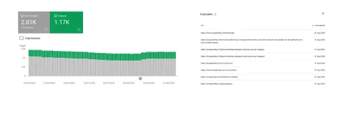 Example of Crawling and Indexing from Google Search Console